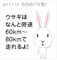 ウサギはなんと時速60km〜80kmで走れるよ！