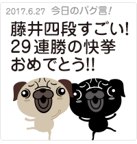 藤井四段すごい！29連勝の快挙おめでとう！！